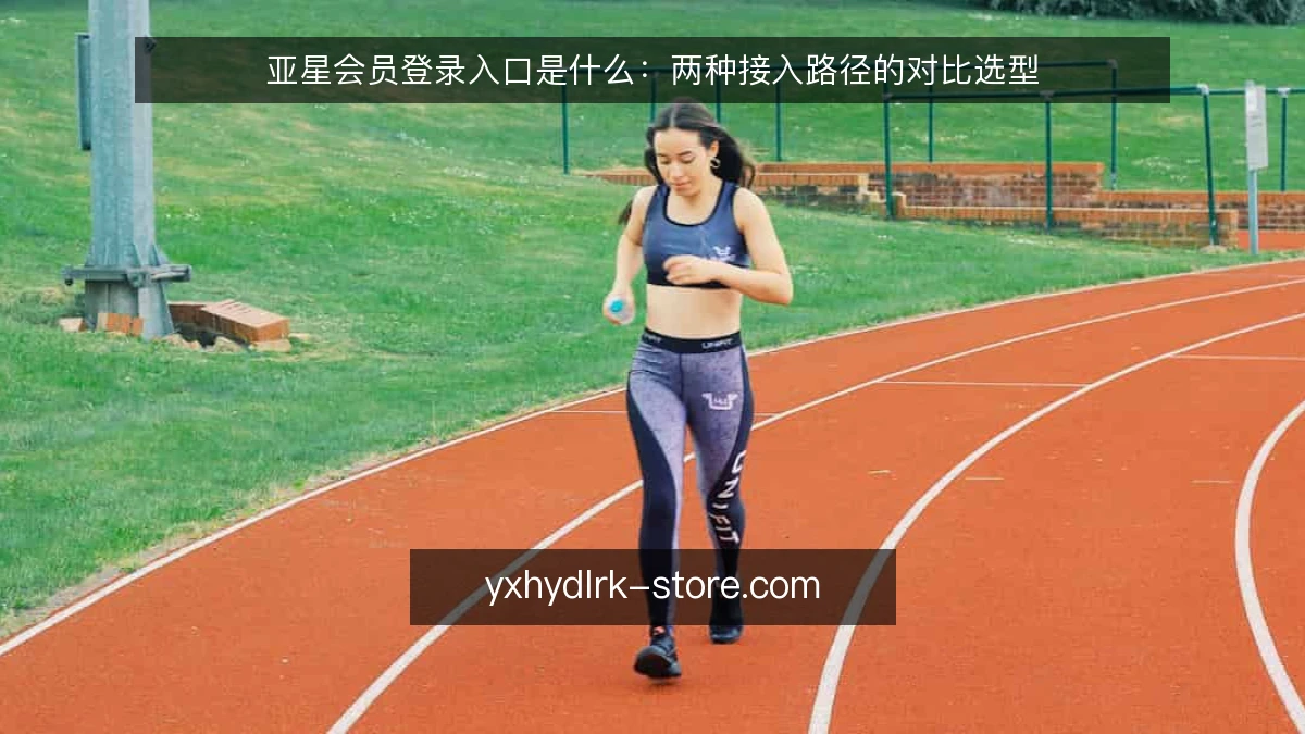 亚星会员登录入口是什么:两种接入路径的对比选型